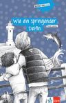 Wie ein springender Delfin – Buch